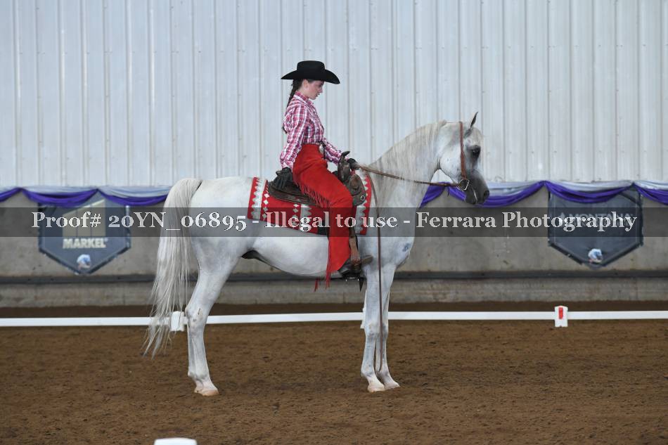 Proof 20YN_06895