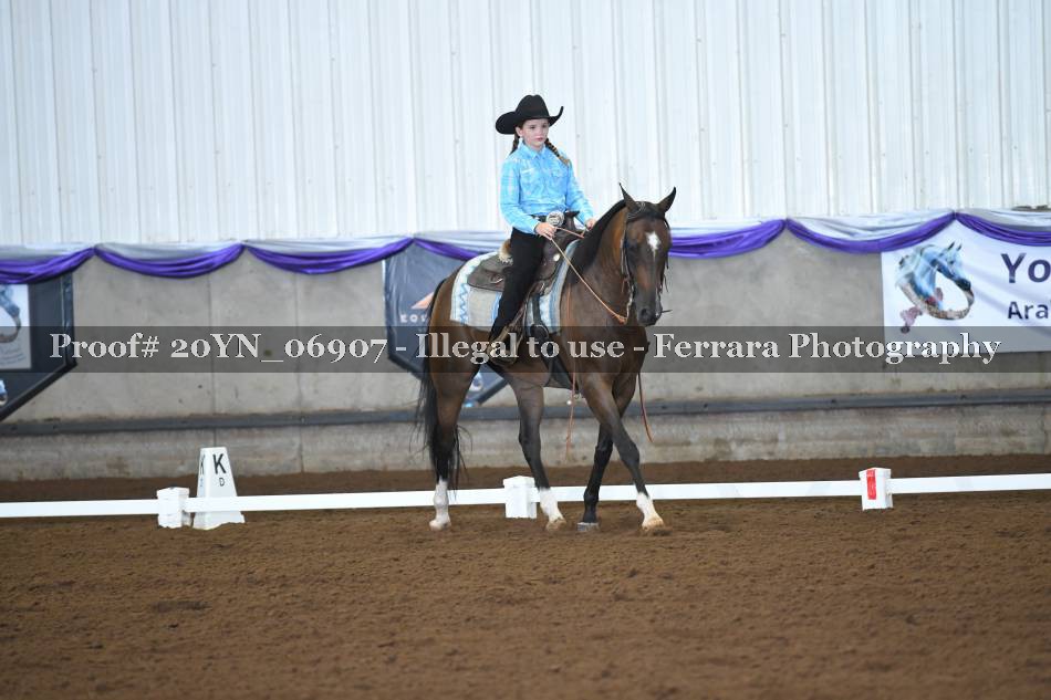 Proof 20YN_06907