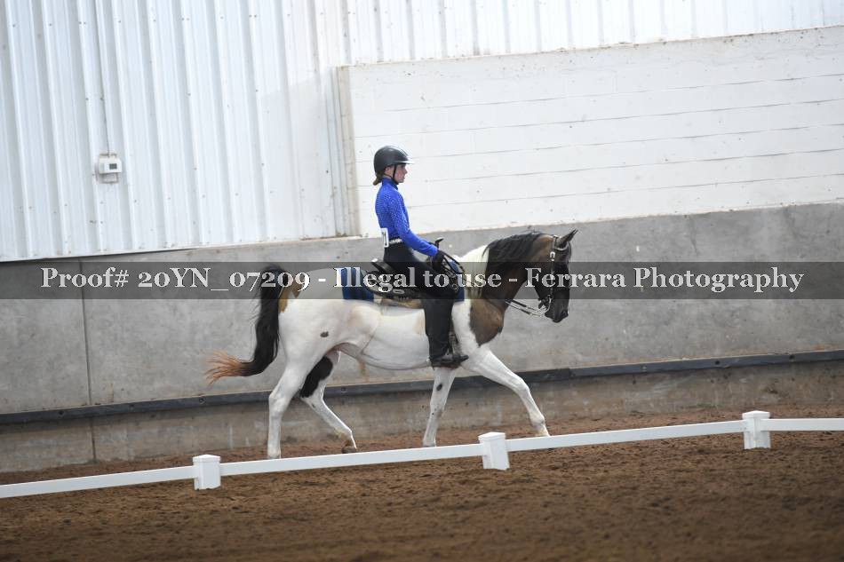 Proof 20YN_07209
