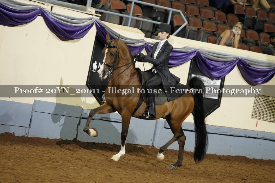 Proof 20YN_20011