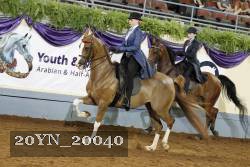 20YN_20040 proof