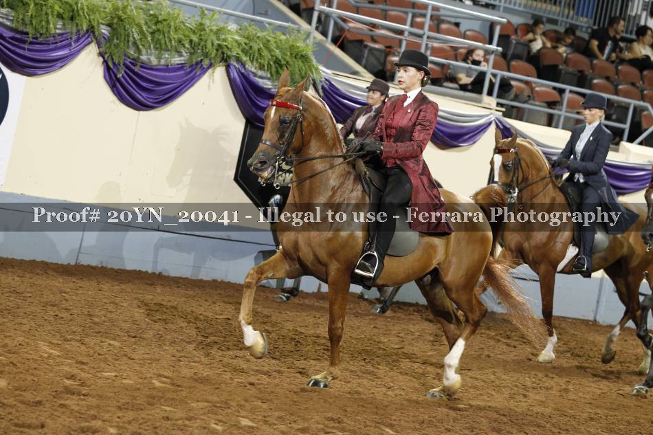 Proof 20YN_20041