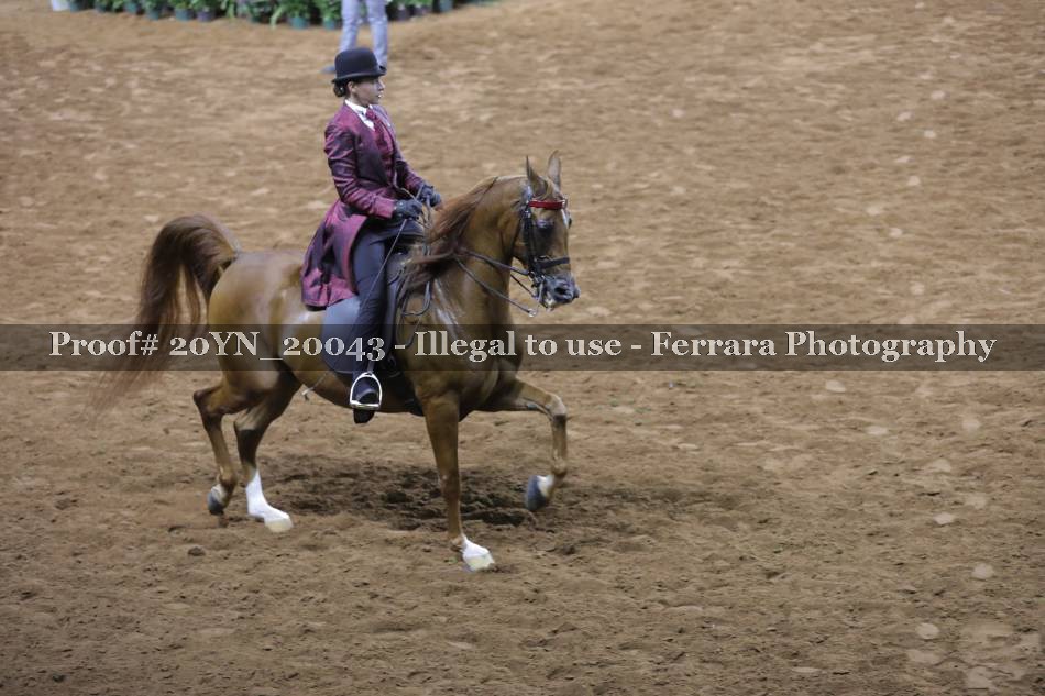 Proof 20YN_20043