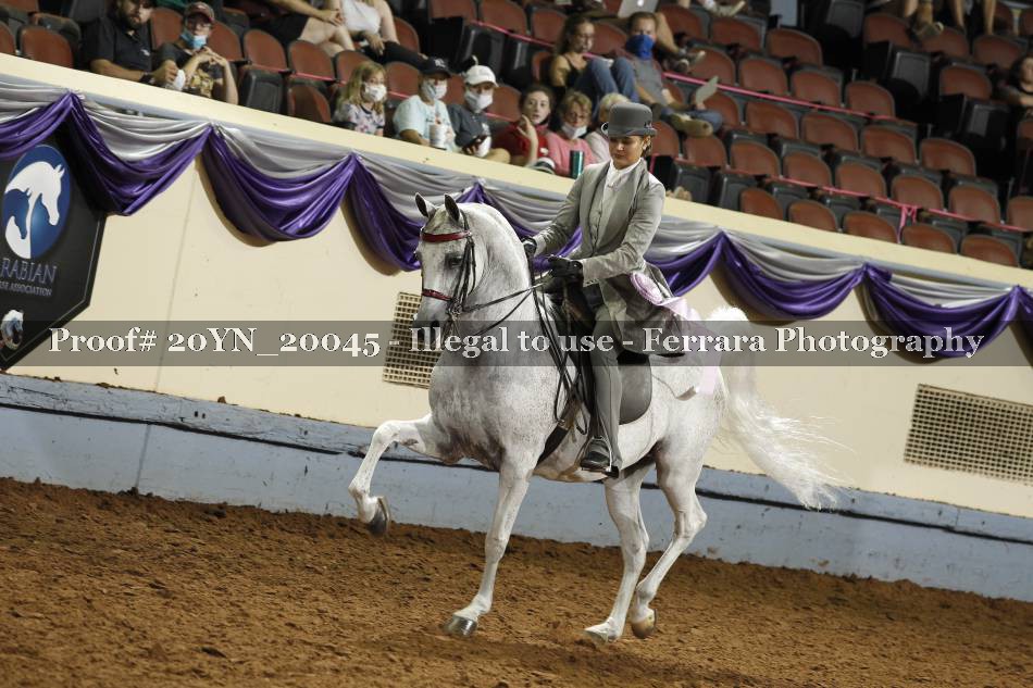Proof 20YN_20045