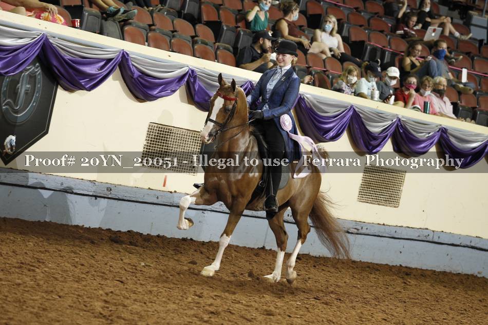 Proof 20YN_20051
