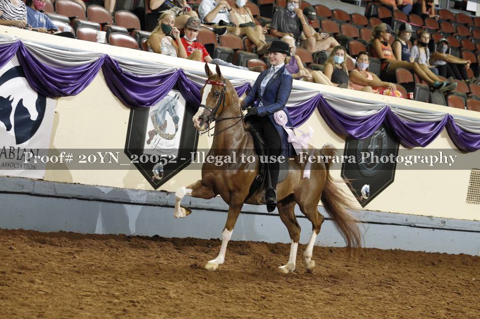 Proof 20YN_20052