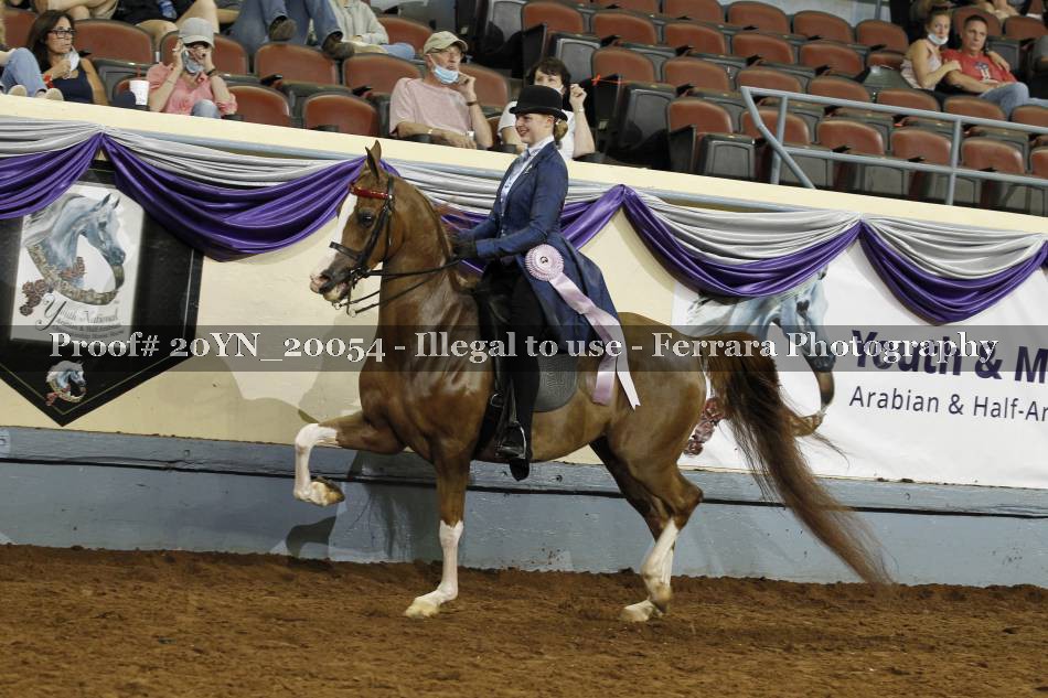 Proof 20YN_20054