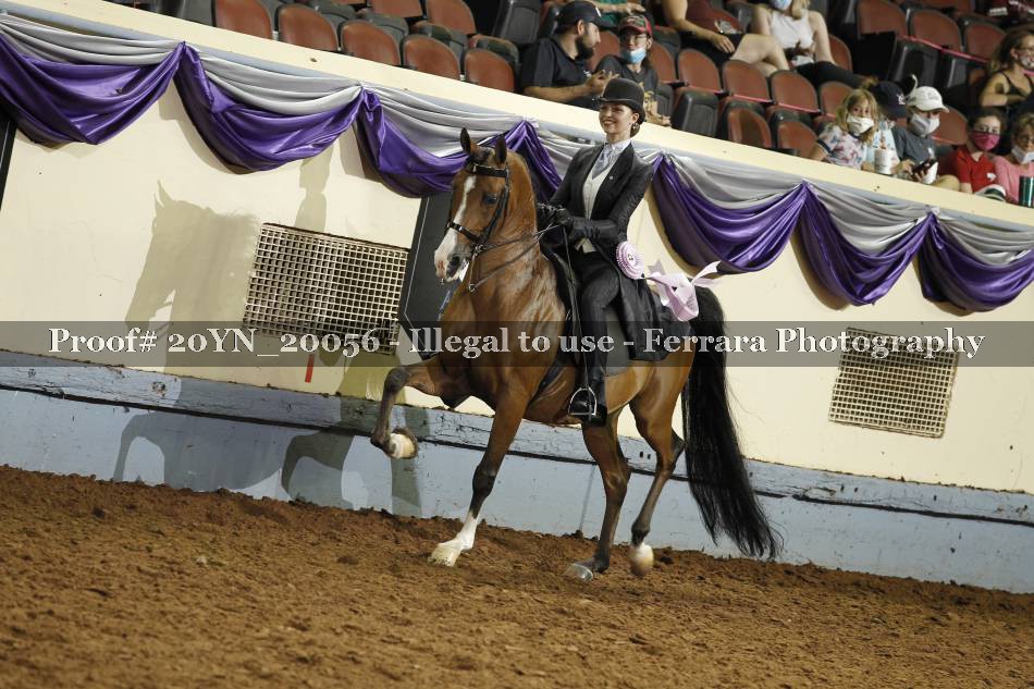 Proof 20YN_20056
