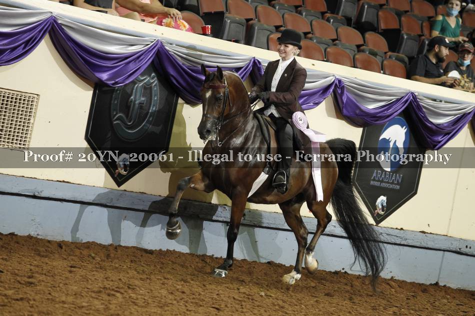 Proof 20YN_20061