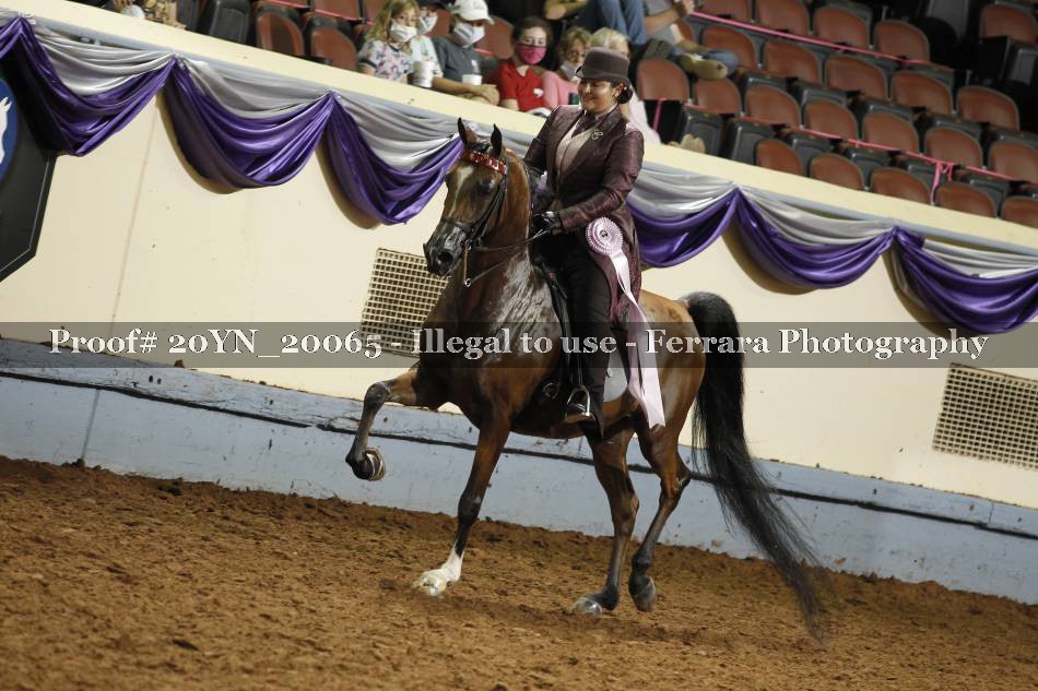 Proof 20YN_20065