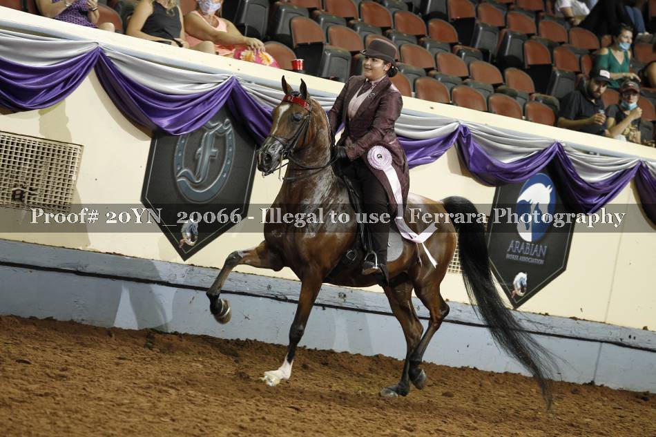 Proof 20YN_20066