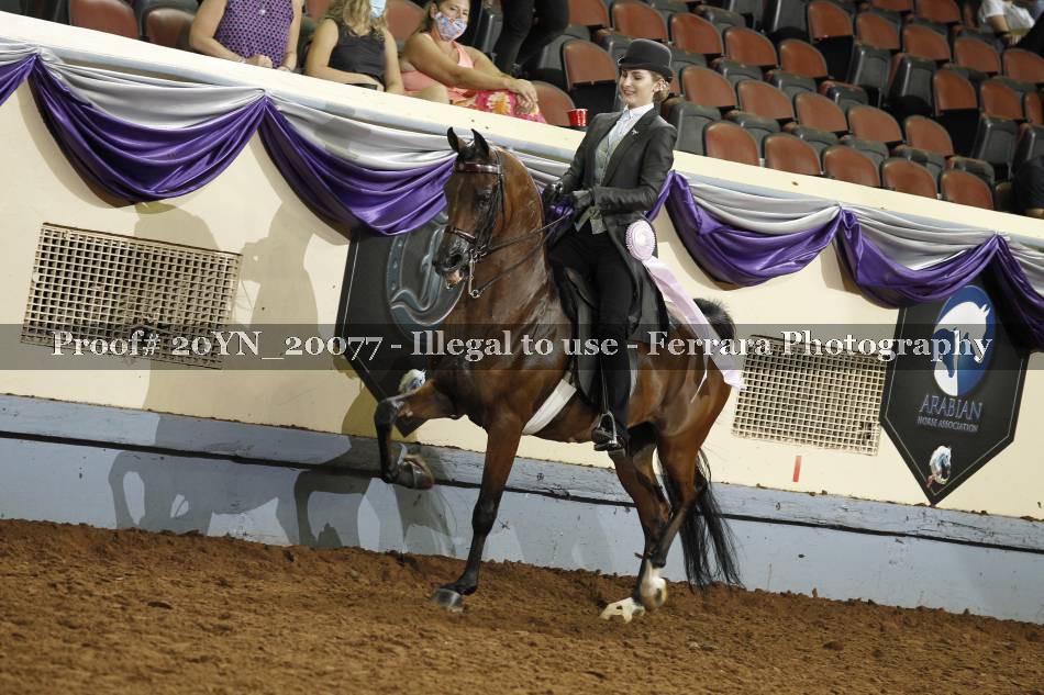 Proof 20YN_20077