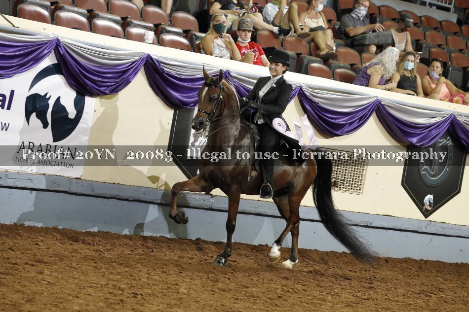 Proof 20YN_20083