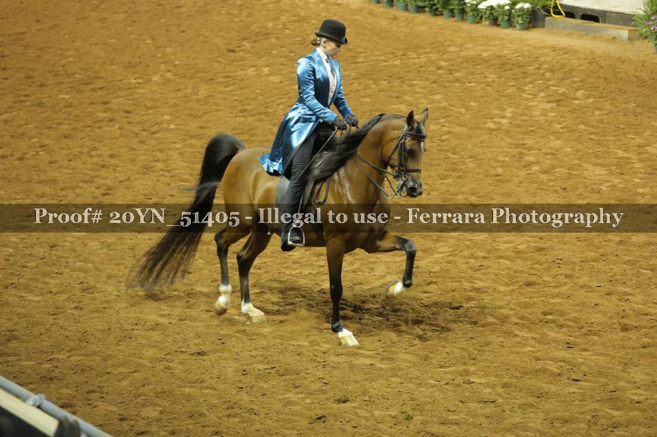Proof 20YN_51405