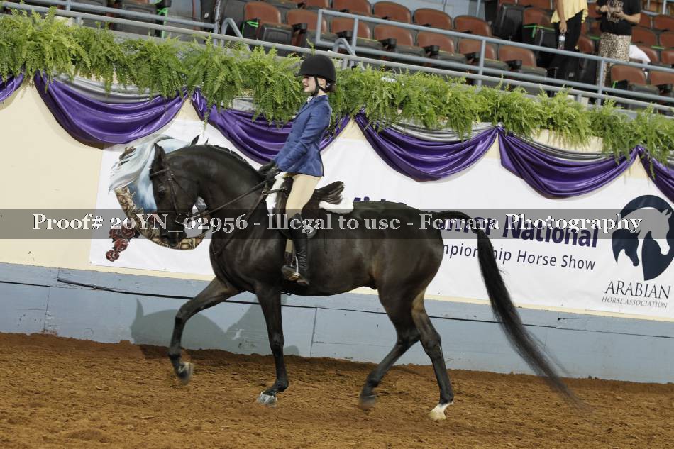 Proof 20YN_02956