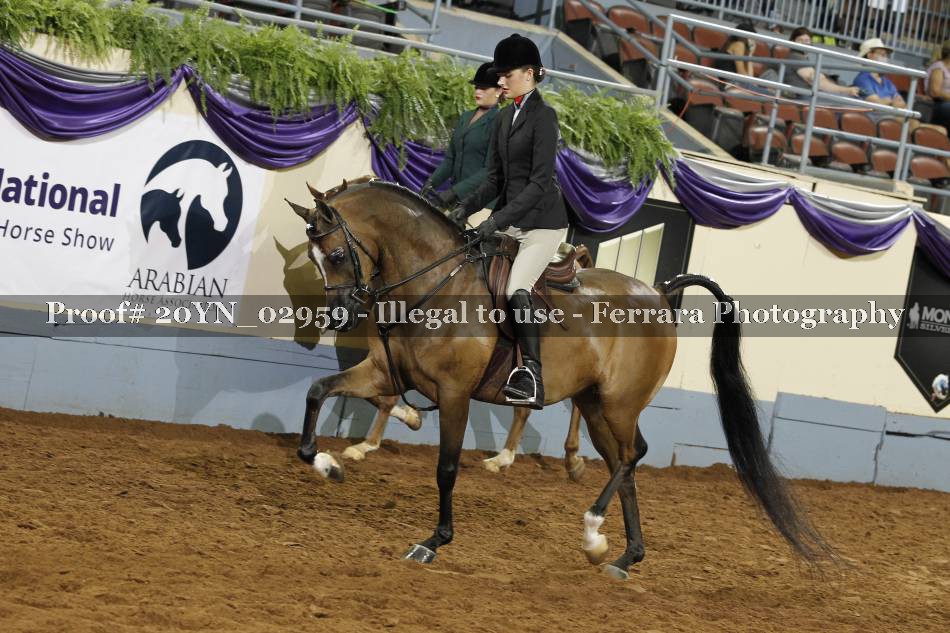 Proof 20YN_02959