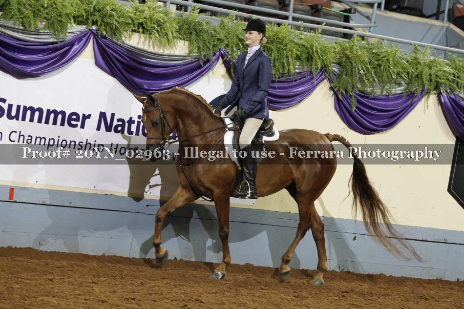 Proof 20YN_02963