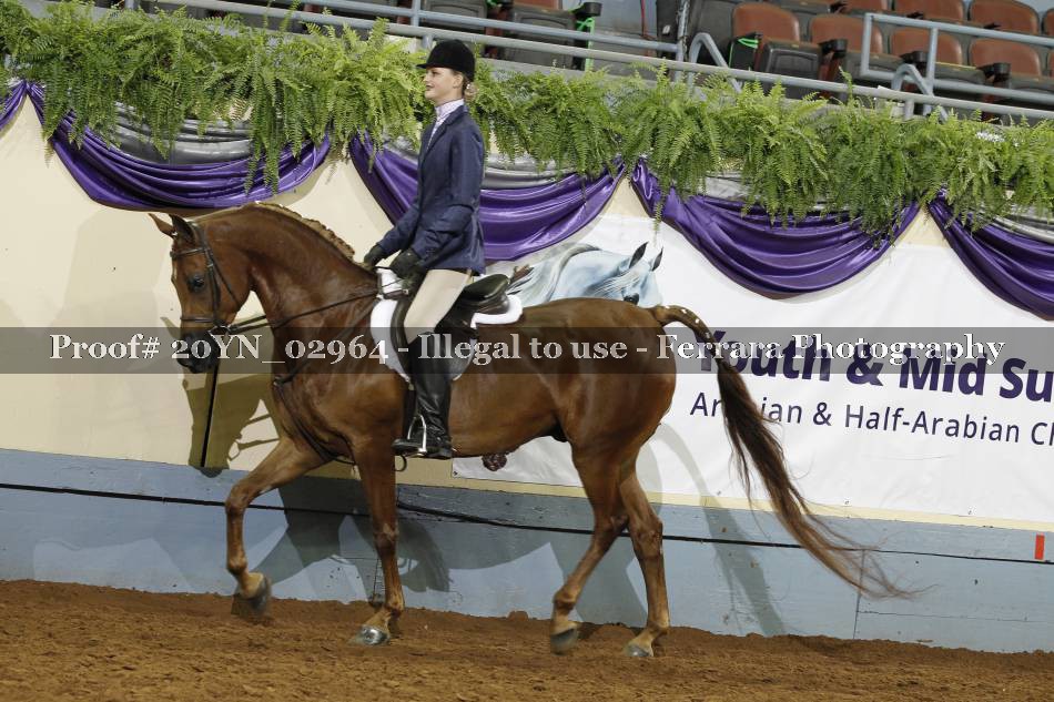 Proof 20YN_02964