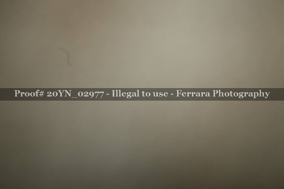 Proof 20YN_02977