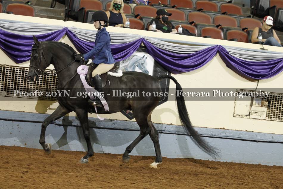 Proof 20YN_03005