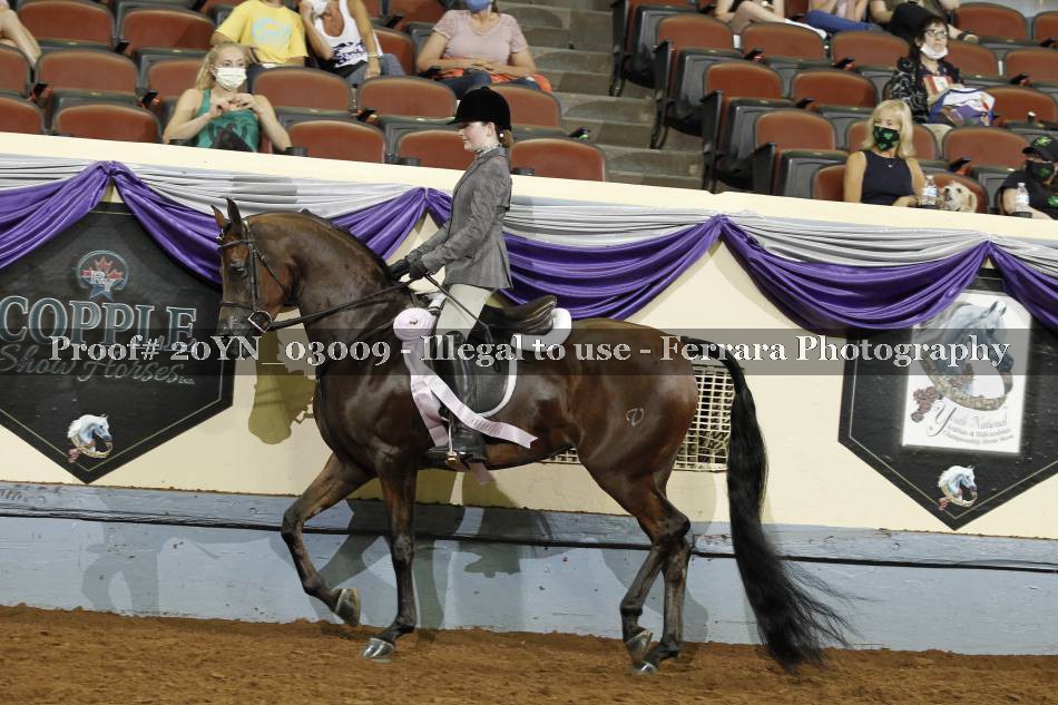 Proof 20YN_03009