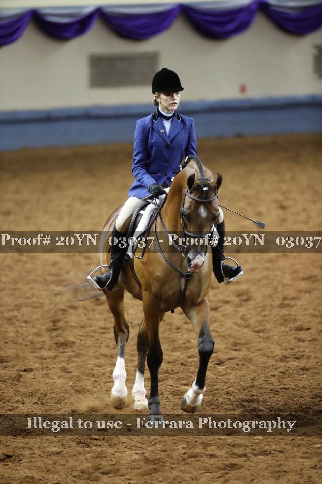 Proof 20YN_03037
