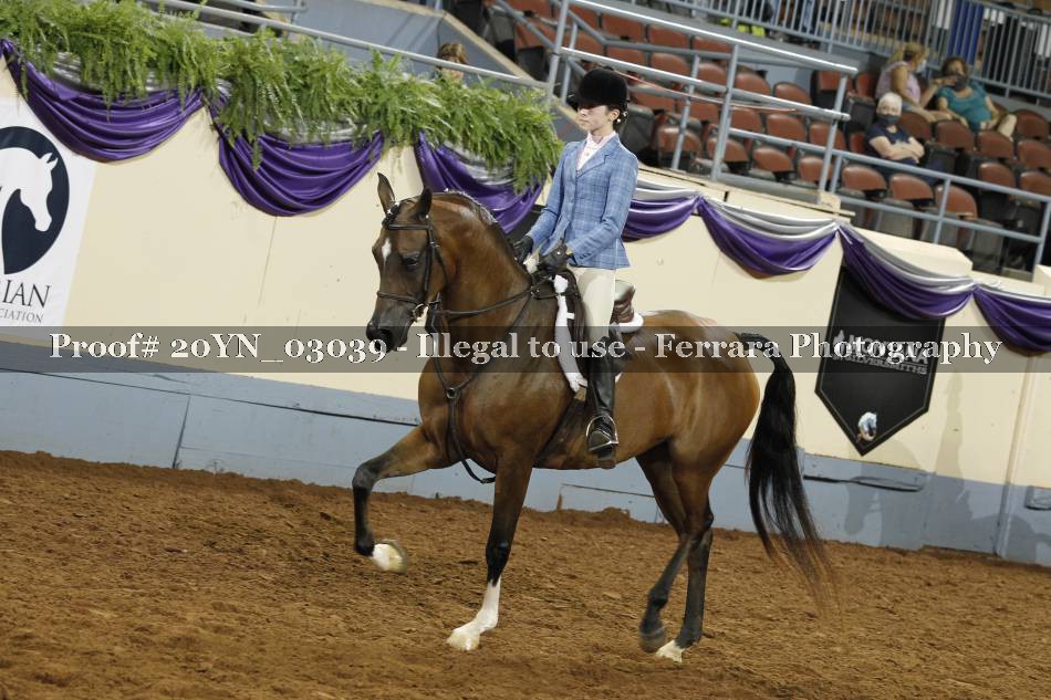 Proof 20YN_03039