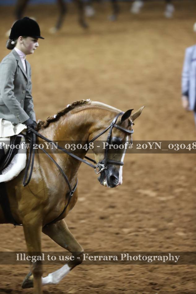 Proof 20YN_03048