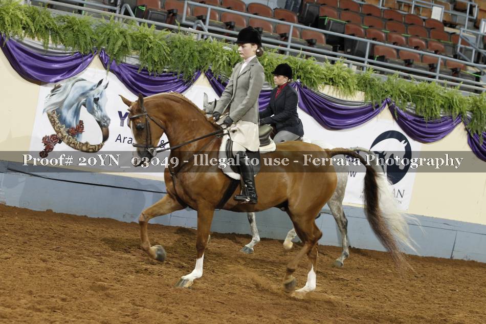 Proof 20YN_03049