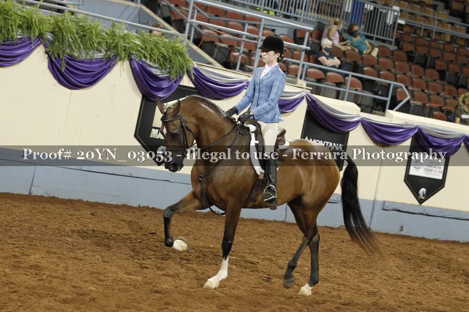 Proof 20YN_03053