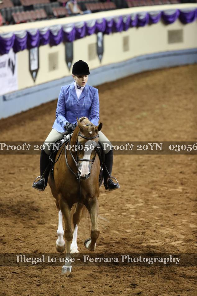 Proof 20YN_03056