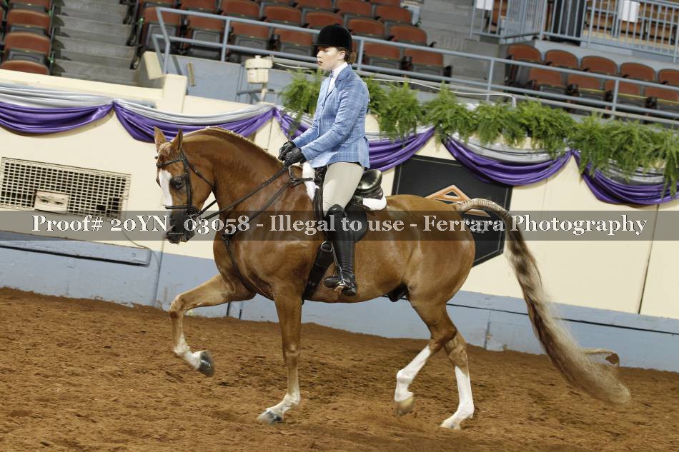 Proof 20YN_03058