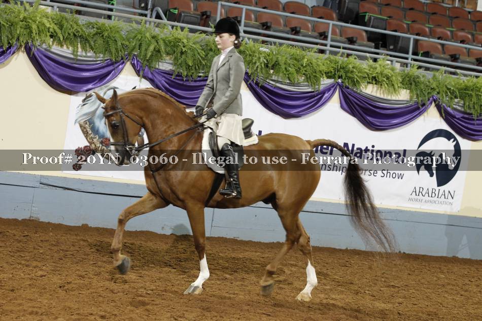 Proof 20YN_03060