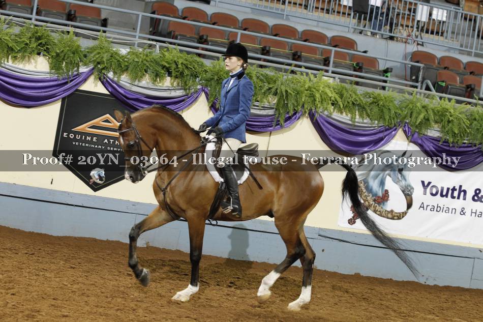 Proof 20YN_03064