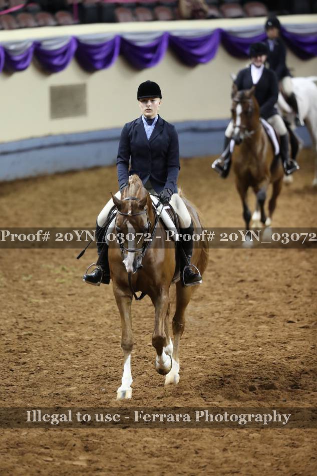 Proof 20YN_03072