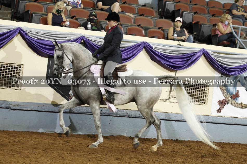 Proof 20YN_03075
