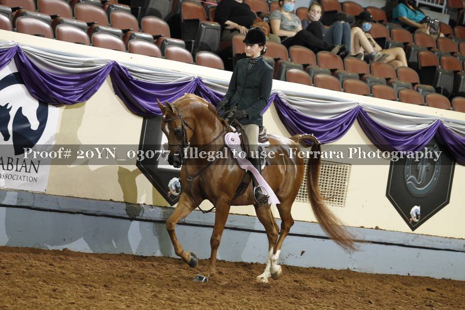 Proof 20YN_03077