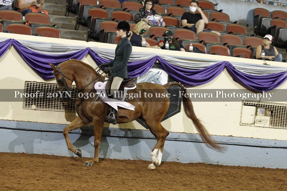 Proof 20YN_03079