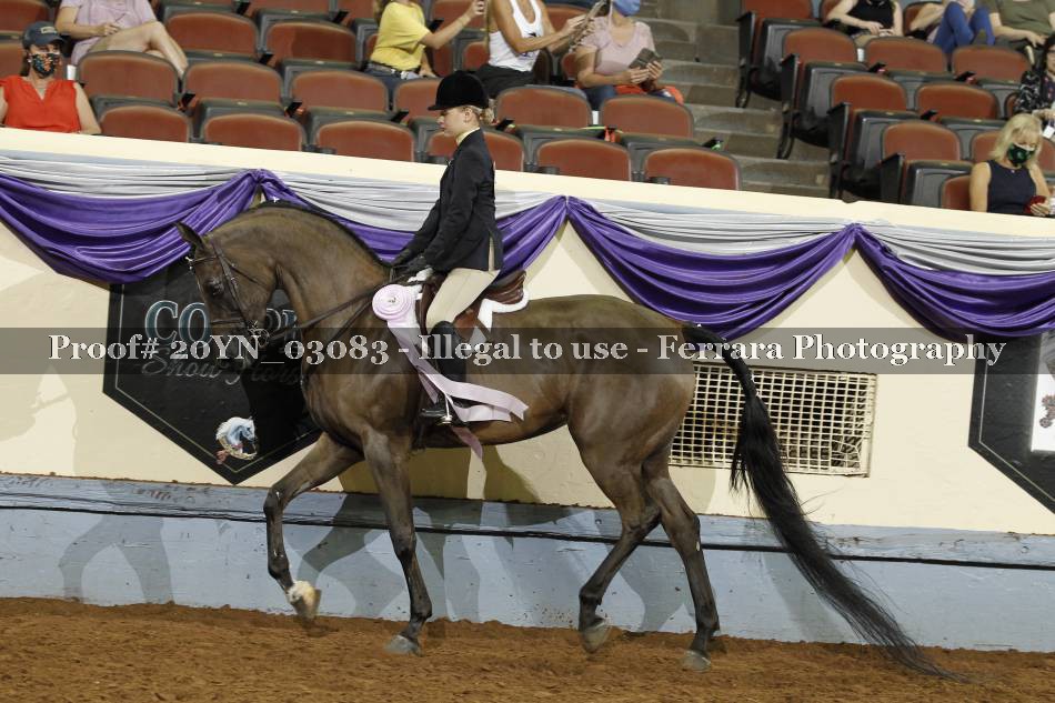 Proof 20YN_03083