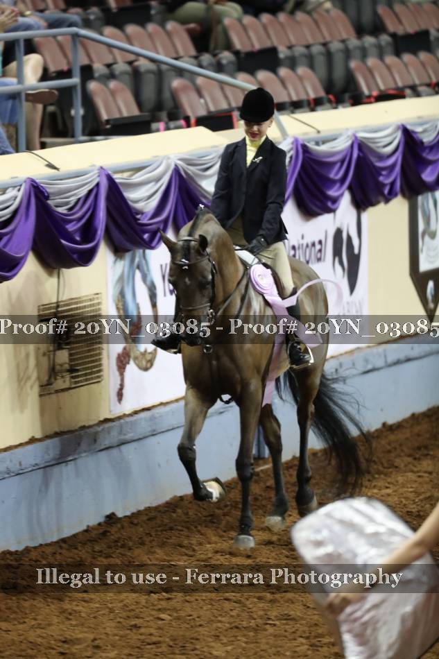 Proof 20YN_03085