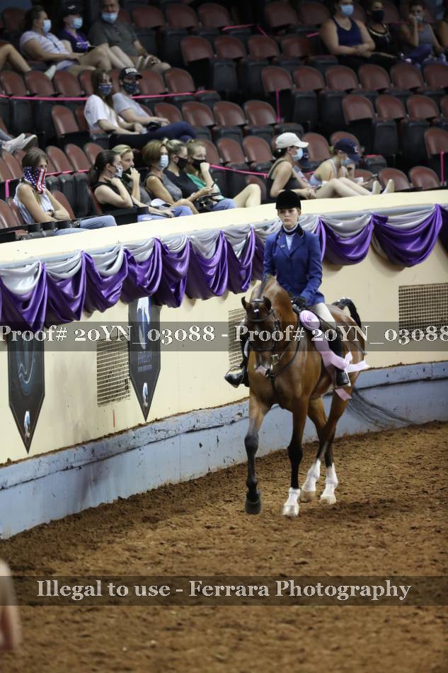 Proof 20YN_03088
