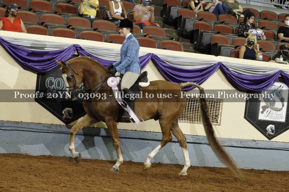 Proof 20YN_03093