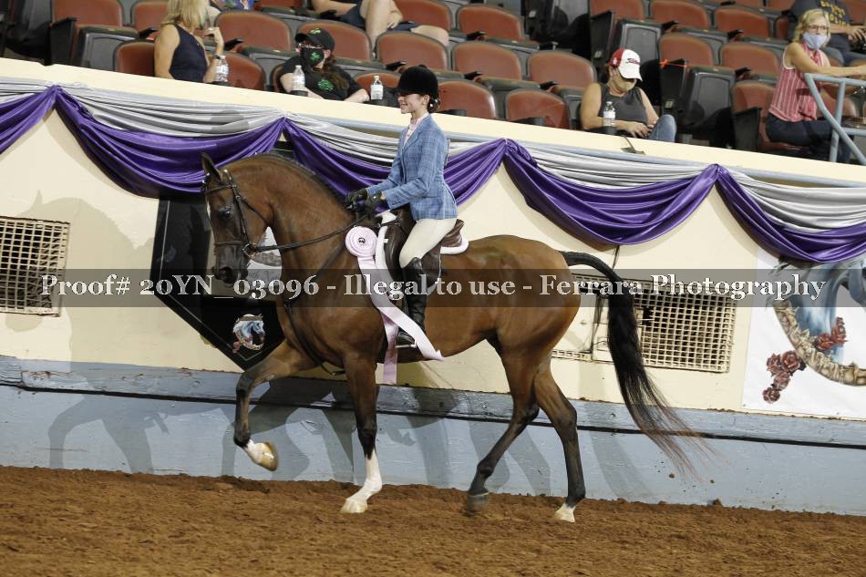 Proof 20YN_03096