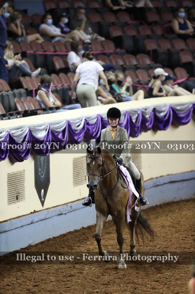 Proof 20YN_03103