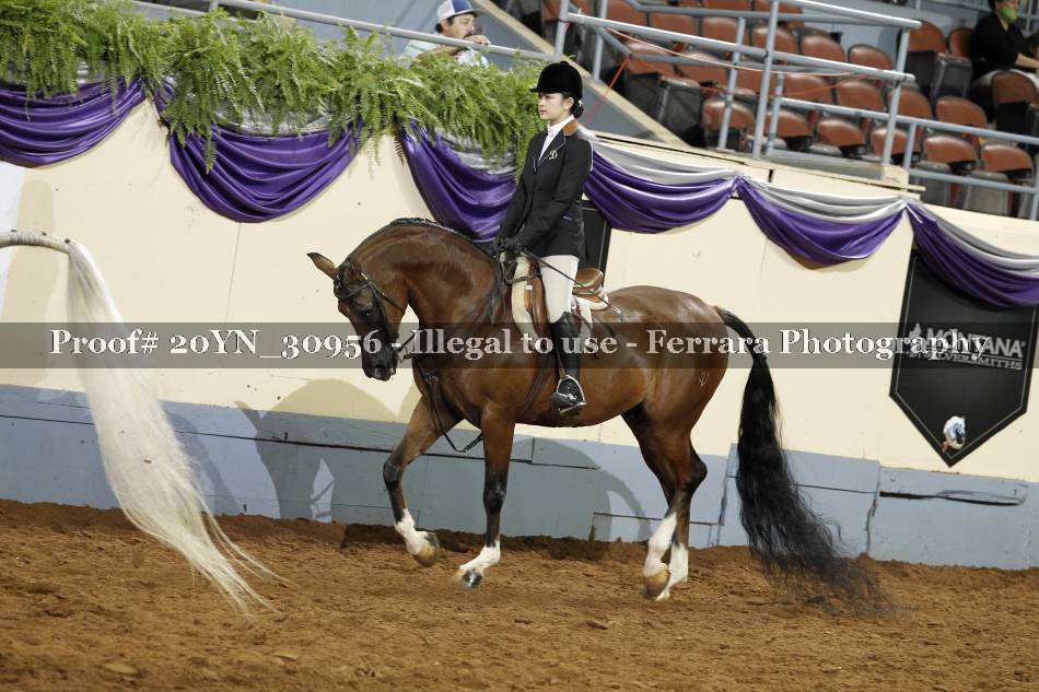 Proof 20YN_30956