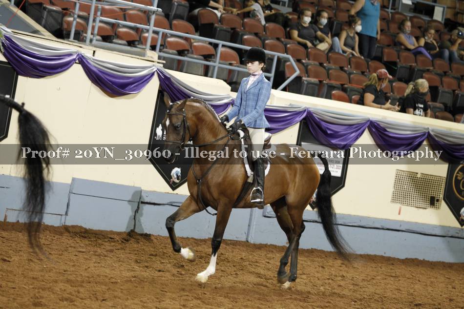 Proof 20YN_30960
