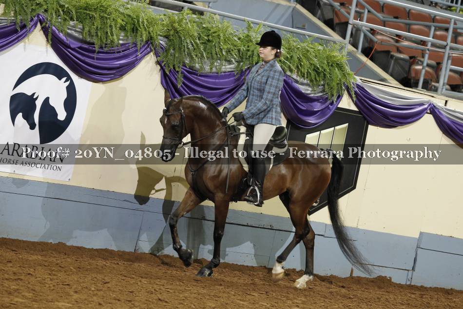 Proof 20YN_04805