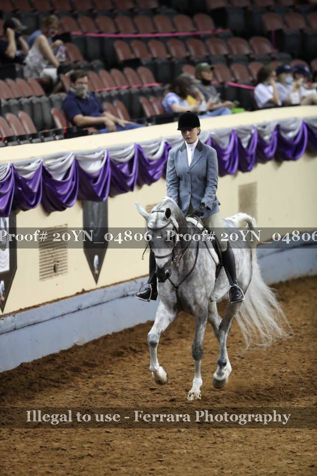 Proof 20YN_04806
