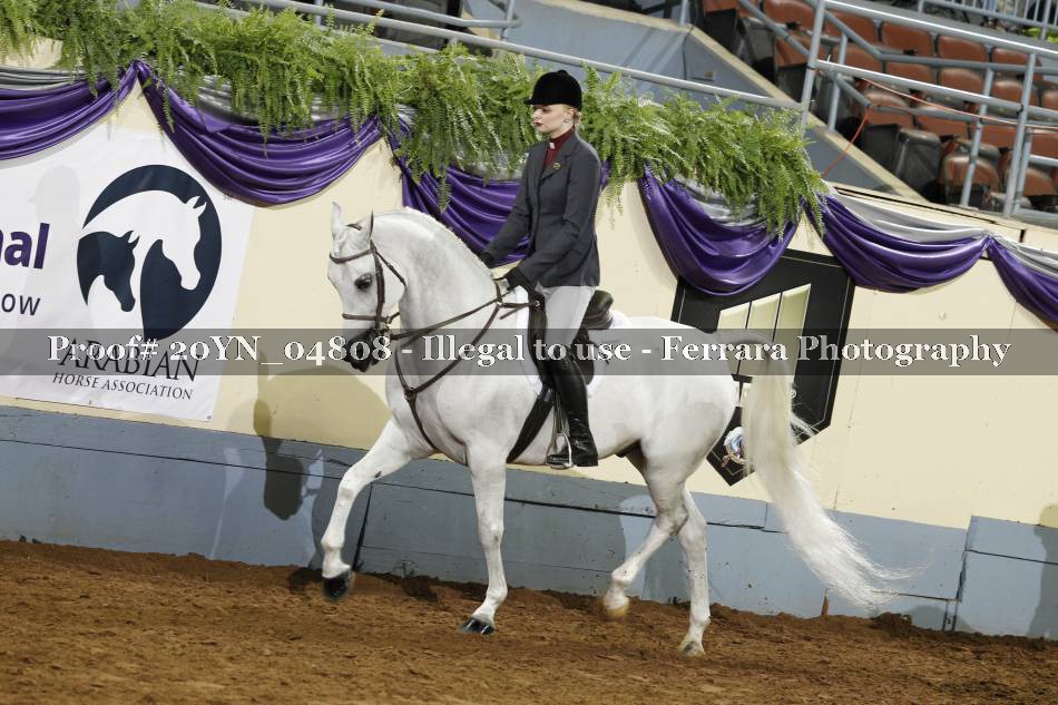 Proof 20YN_04808