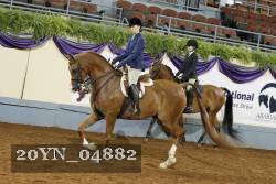20YN_04882 proof